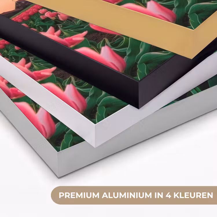 Art Frame - Tulpen - Molen - Nederland — 5