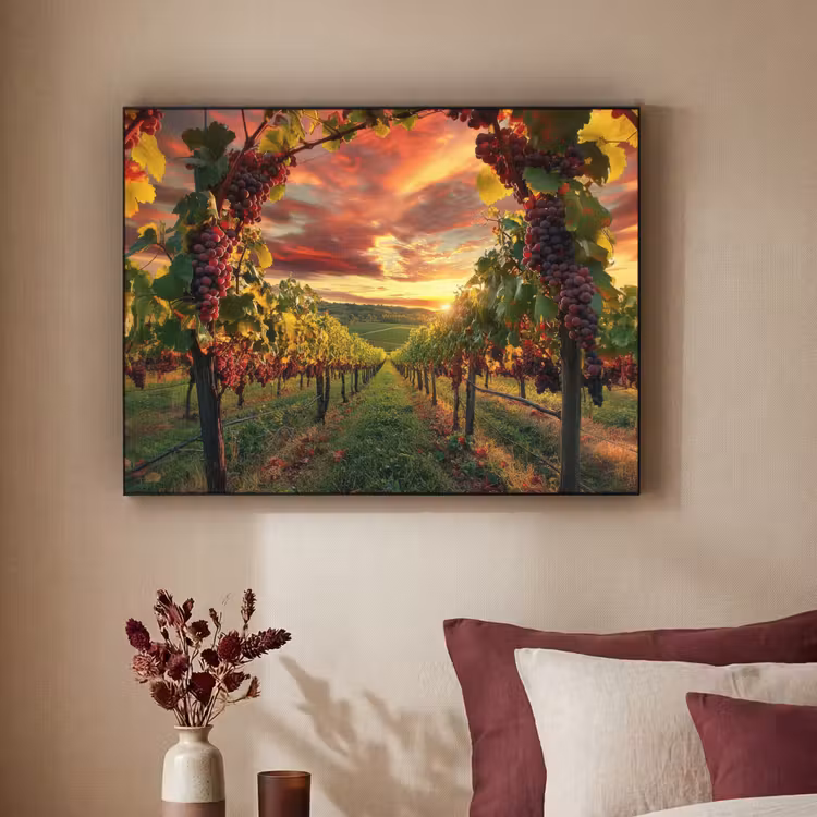 Art Frame - Wijngaard - Druiven - Zonsondergang — 2