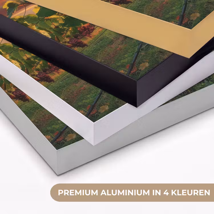 Art Frame - Wijngaard - Druiven - Zonsondergang — 5