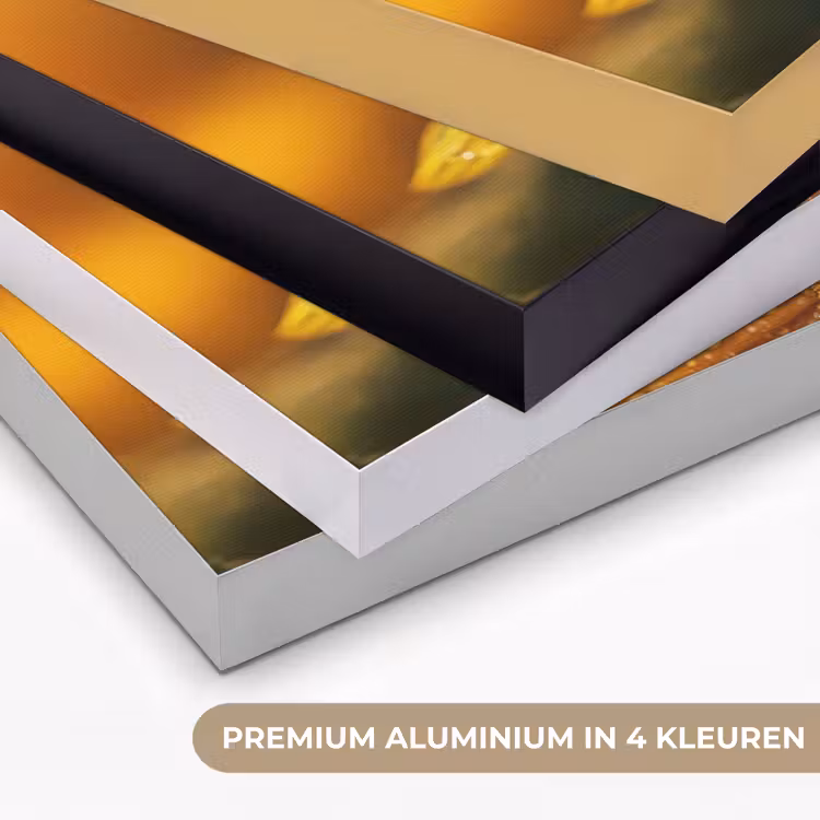 Art Frame - Zonnebloem - Dauwdruppels - Geel - Zonlicht — 5