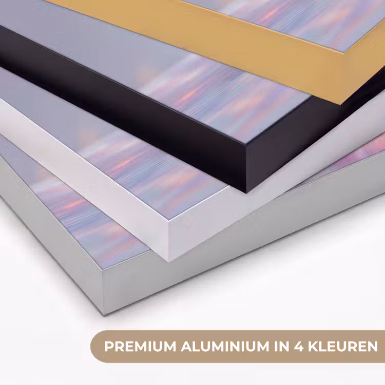 Art Frame - Schelp - Glanzend - Regenboogtinten — 5