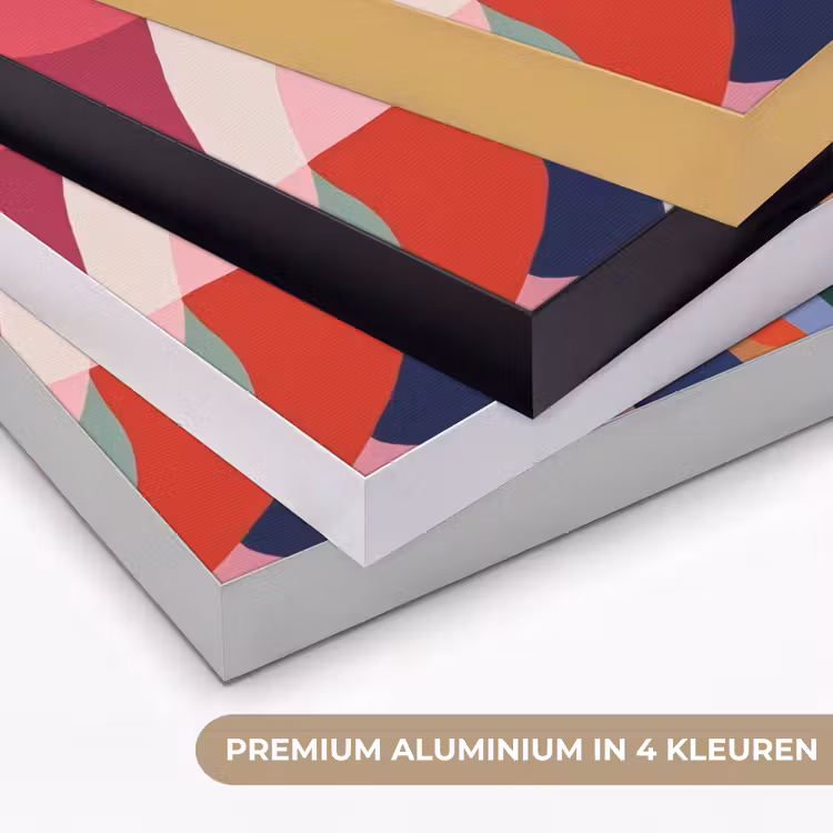 Art Frame - Vormen - Bochten - Kleurrijk - Abstract — 5