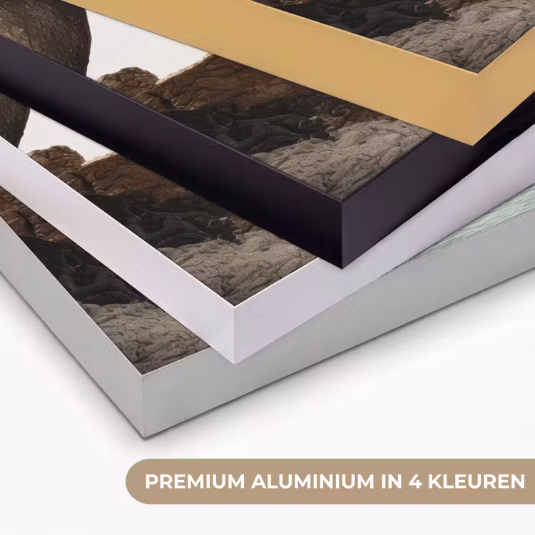 Art Frame - Rotsen - Zee - Boom - Groen — 5