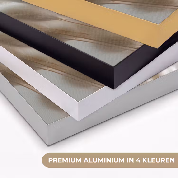 Art Frame - Pluimen - Beige - Minimalistisch — 5