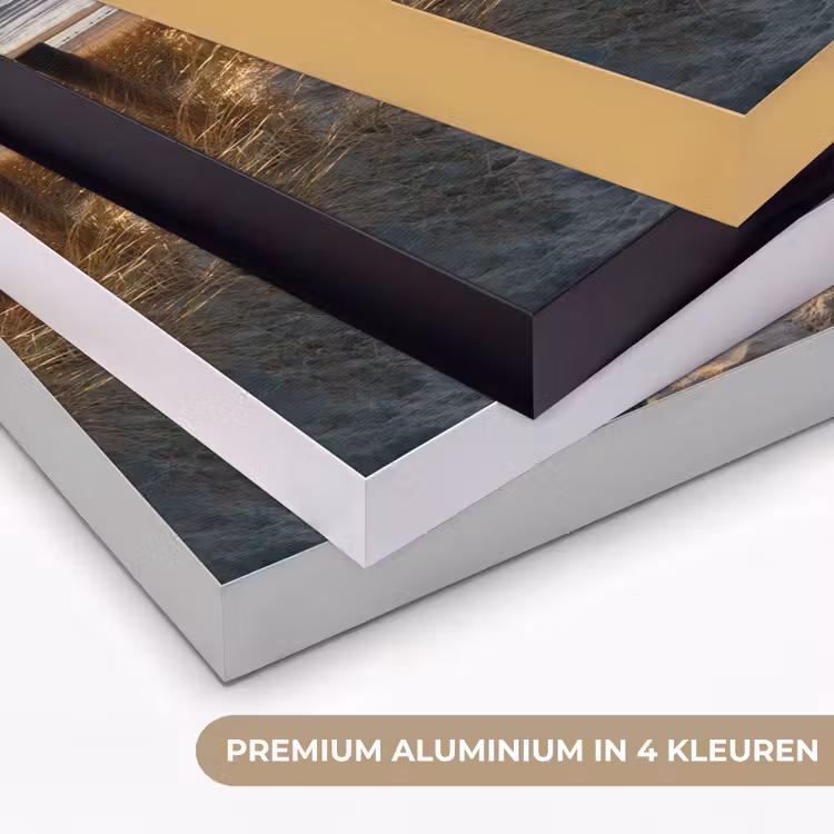 Art Frame - Strand - Zee - Nederland - Duinen - Zon — 5
