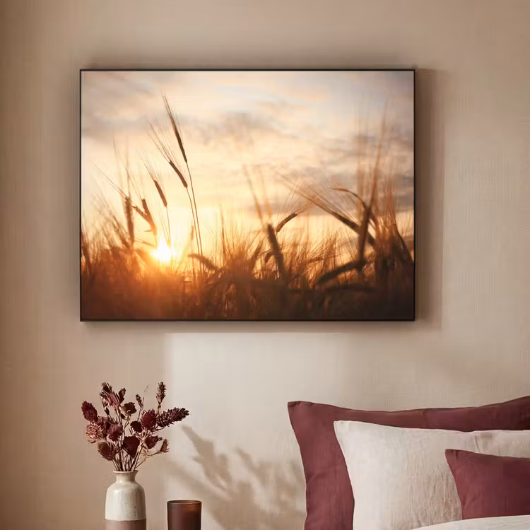 Art Frame - Riet - Gras - Zonsondergang - Natuur - Horizon — 2