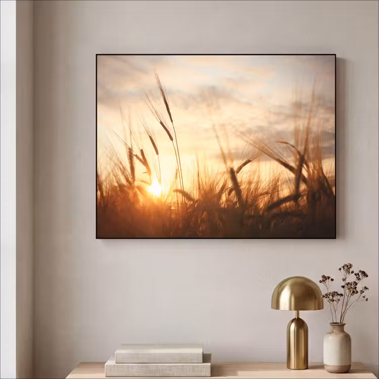 Art Frame - Riet - Gras - Zonsondergang - Natuur - Horizon — 3
