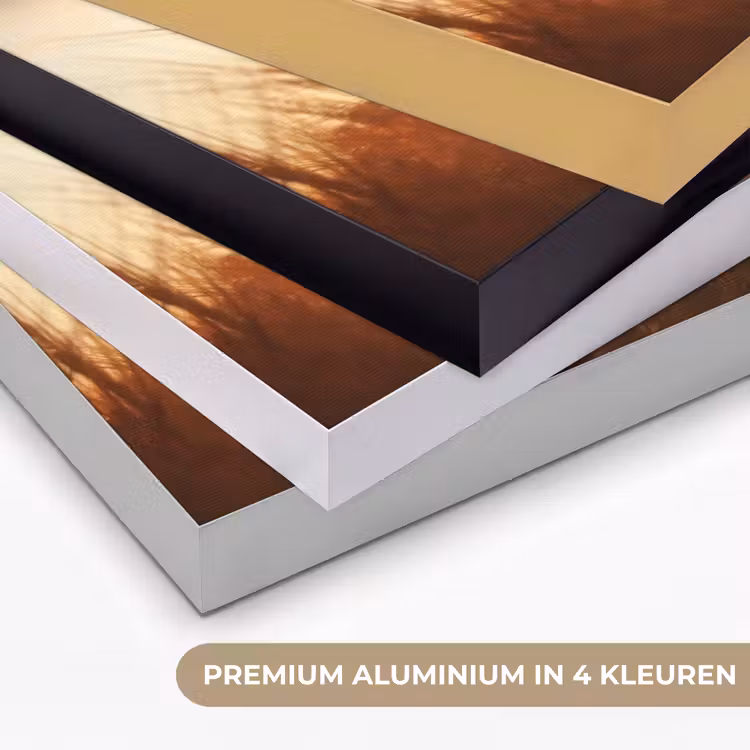 Art Frame - Riet - Gras - Zonsondergang - Natuur - Horizon — 5