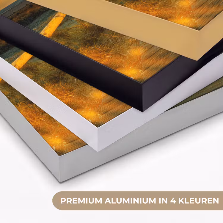Art Frame - Zon - Strand - Duin - Horizon - Gras - Pad - Oranje — 5