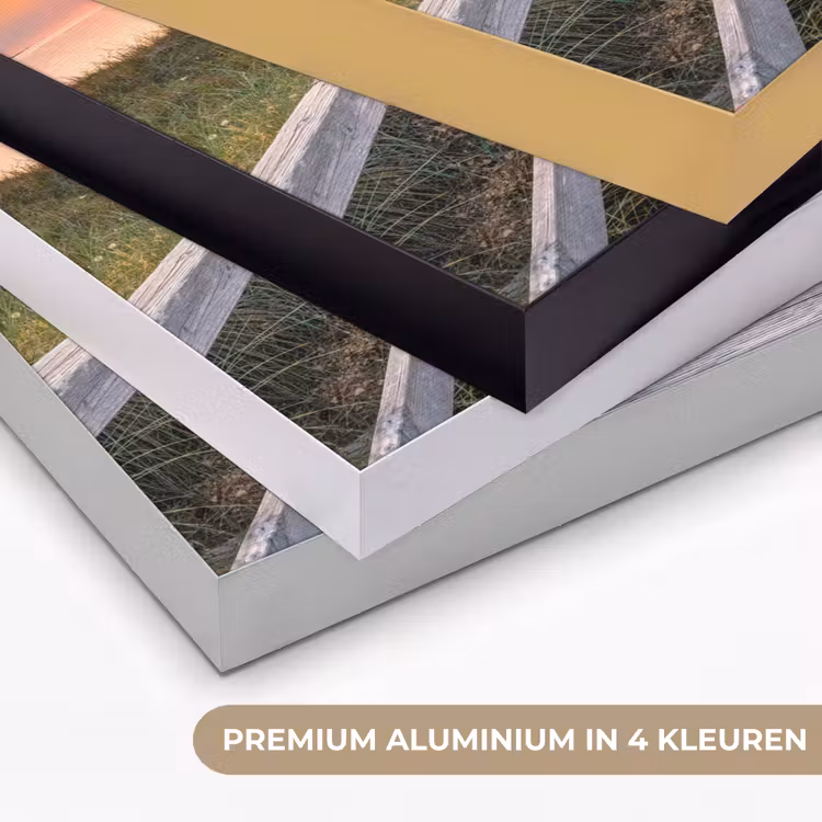 Art Frame - Zonsonderang - Zee - Pad - Gras - Duin - Vogels — 5