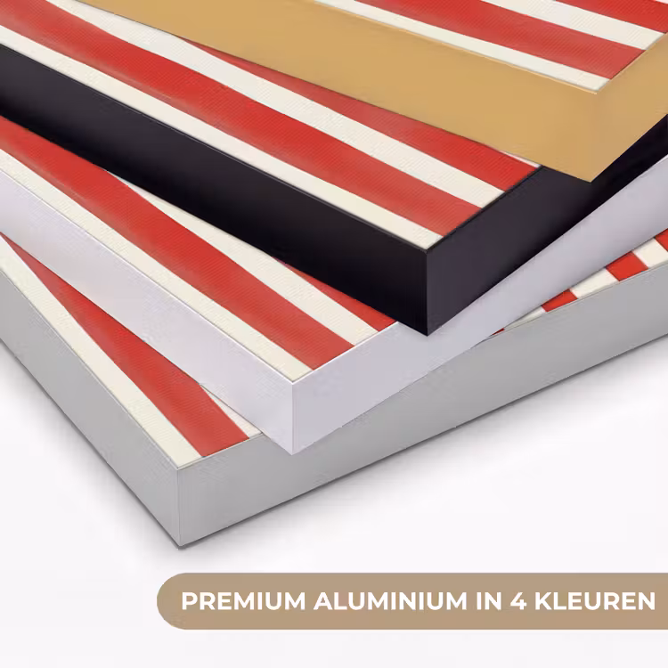 Art Frame - Vissen - Verticale strepen - Blauw - Rood — 5