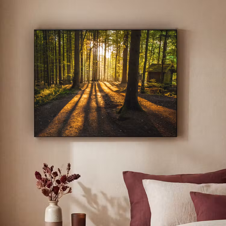 Art Frame - Zon - Bomen - Bos - Landschap - Natuur — 2