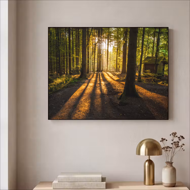 Art Frame - Zon - Bomen - Bos - Landschap - Natuur — 3