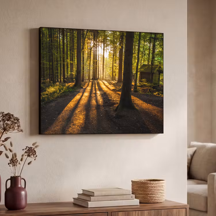 Art Frame - Zon - Bomen - Bos - Landschap - Natuur — 4