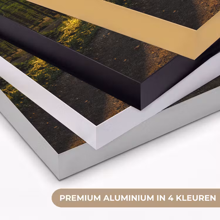 Art Frame - Zon - Bomen - Bos - Landschap - Natuur — 5