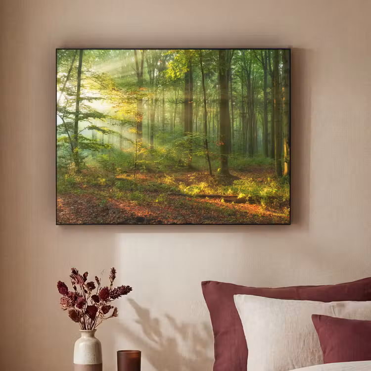 Art Frame - Zon - Bos - Bomen - Natuur - Herfst — 2