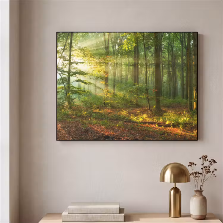 Art Frame - Zon - Bos - Bomen - Natuur - Herfst — 3