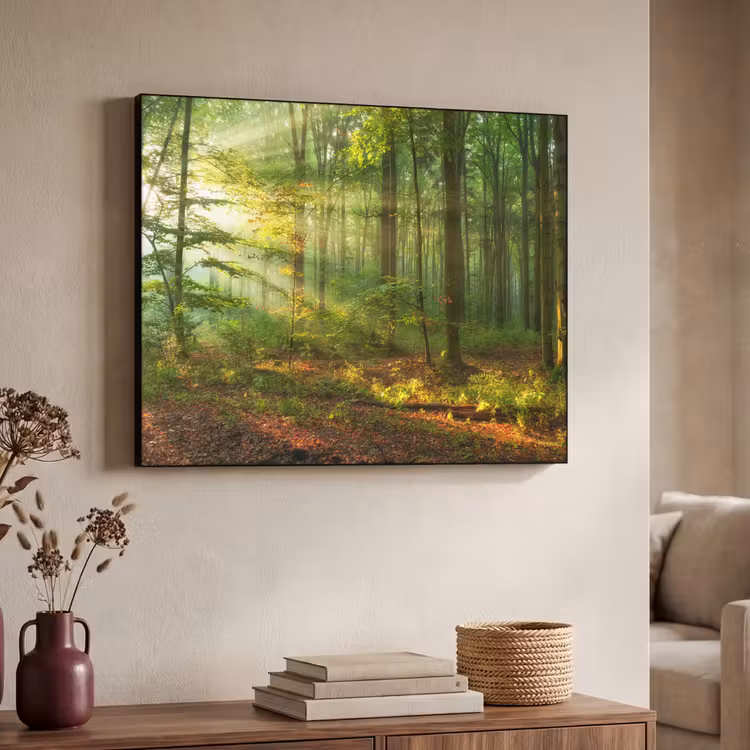 Art Frame - Zon - Bos - Bomen - Natuur - Herfst — 4