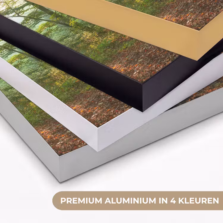 Art Frame - Zon - Bos - Bomen - Natuur - Herfst — 5