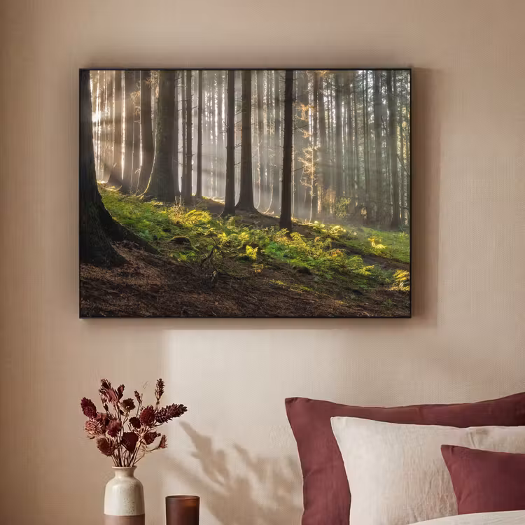 Art Frame - Zon - Takken - Bomen - Bos - Natuur — 2