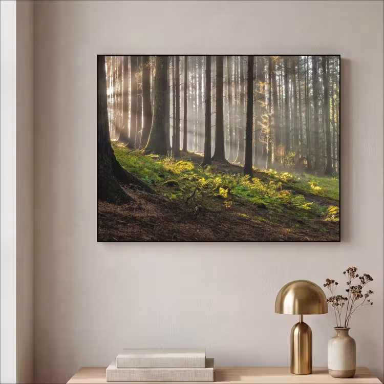Art Frame - Zon - Takken - Bomen - Bos - Natuur — 3