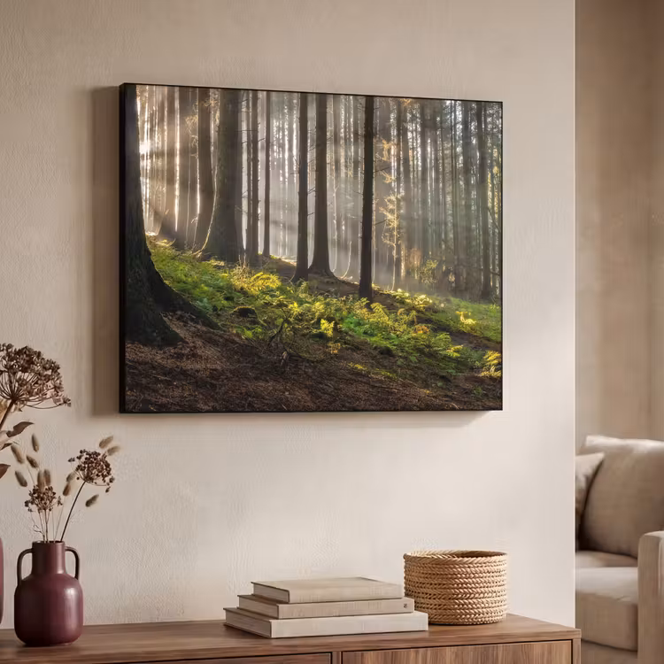 Art Frame - Zon - Takken - Bomen - Bos - Natuur — 4