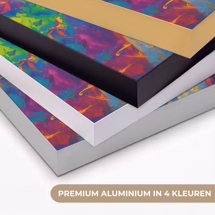 Art Frame - Regenboogkleuren - Man - schilderij — 5