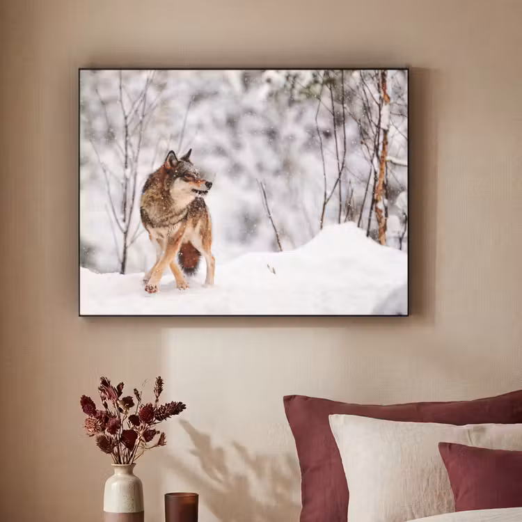 Art Frame - Wolf - Winter - Sneeuw - Natuur - Dieren — 2