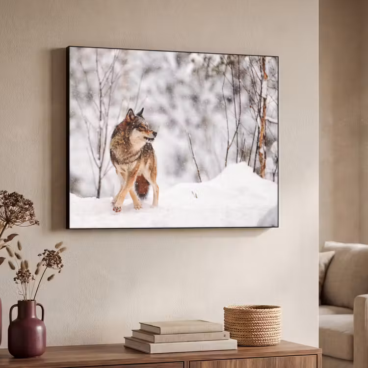Art Frame - Wolf - Winter - Sneeuw - Natuur - Dieren — 4