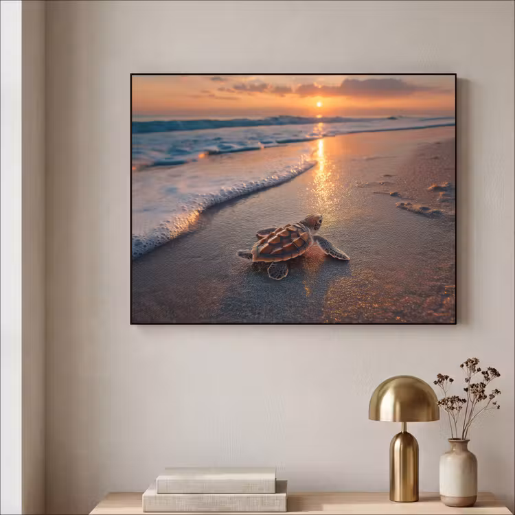 Art Frame - Schildpad - strand - Zonsondergang — 3