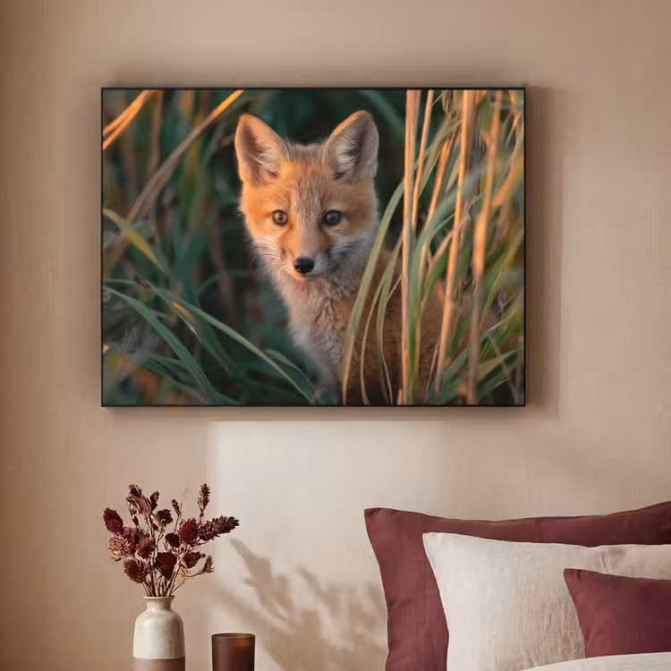 Art Frame - Vos - Oranje - Gras — 2