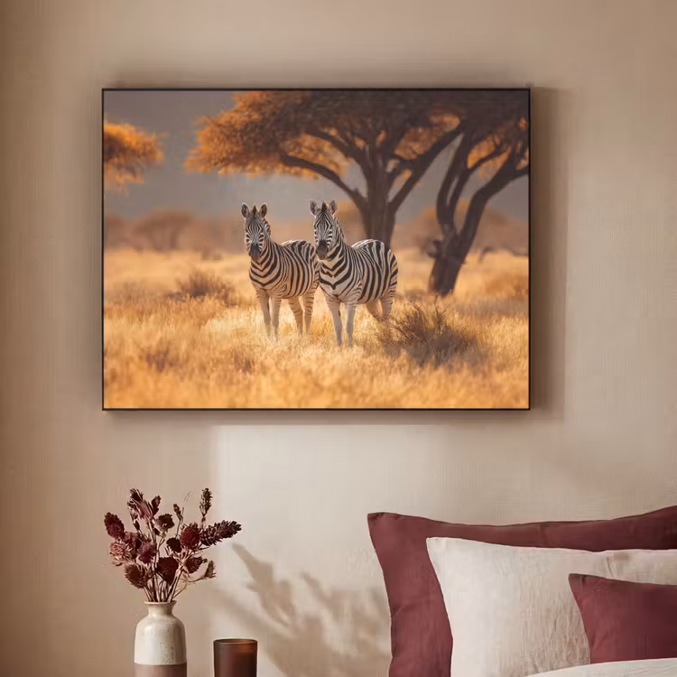 Art Frame - Zebra's - Savannelandschap - Gras — 2