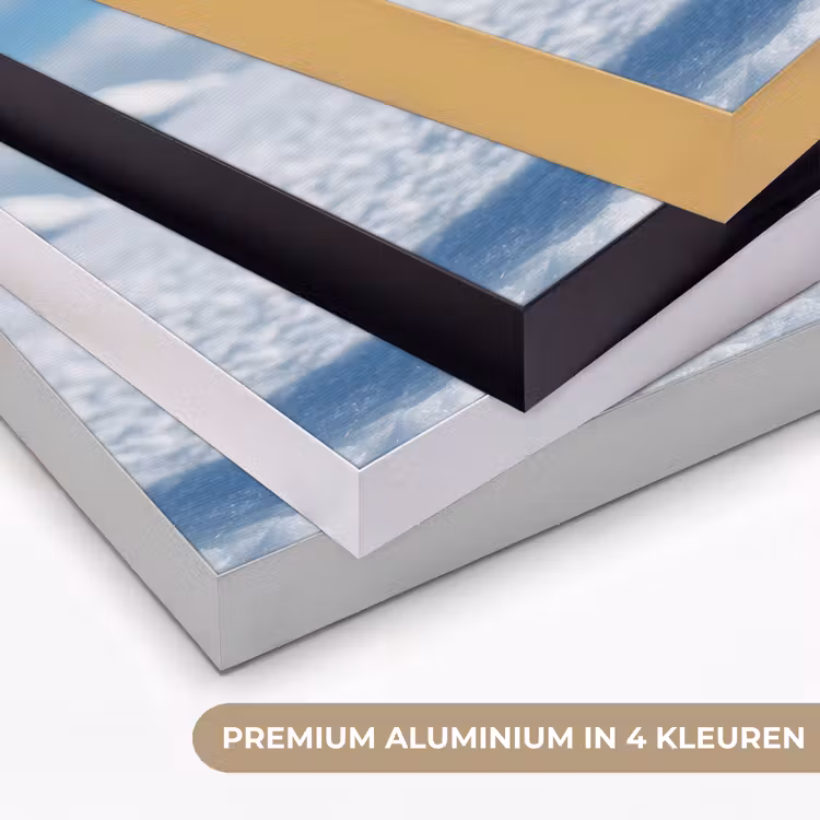 Art Frame - Pinguïn - Sneeuw - Landschap - Wit — 5