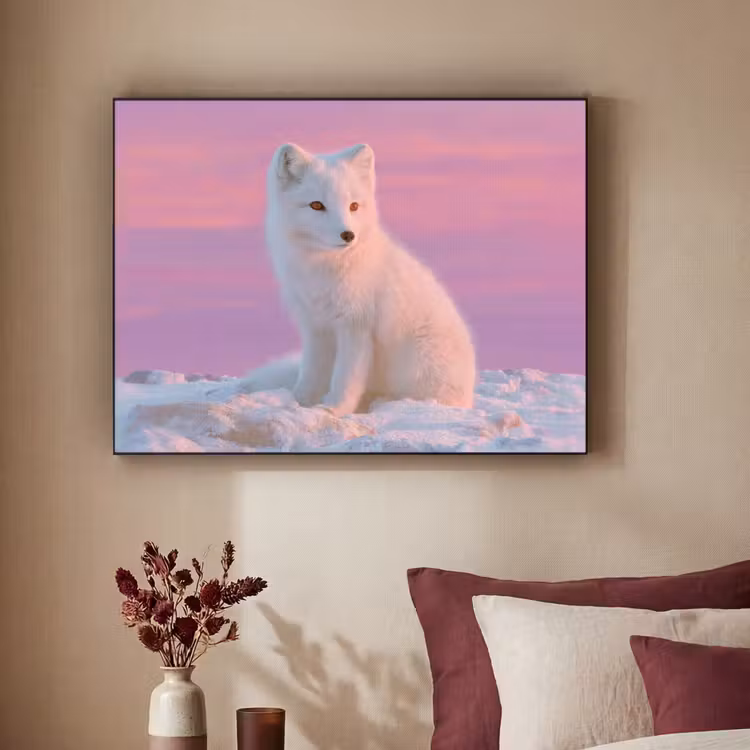 Art Frame - Poolvos - Sneeuw - Roze — 2