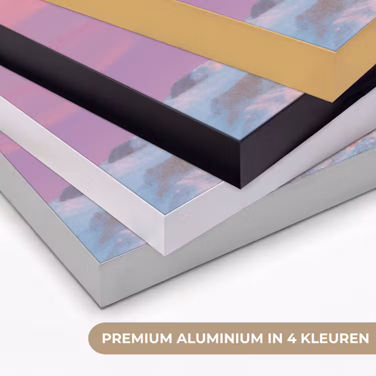 Art Frame - Poolvos - Sneeuw - Roze — 5