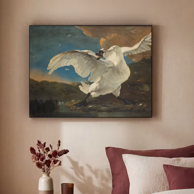 Art Frame - Zwaan - Oude meesters - Jan Asselijn — 2