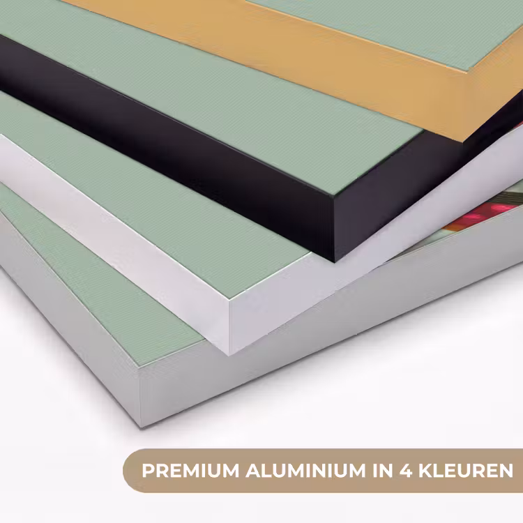 Art Frame - Tak - Bladeren - Kleurrijk - Schaduw — 5