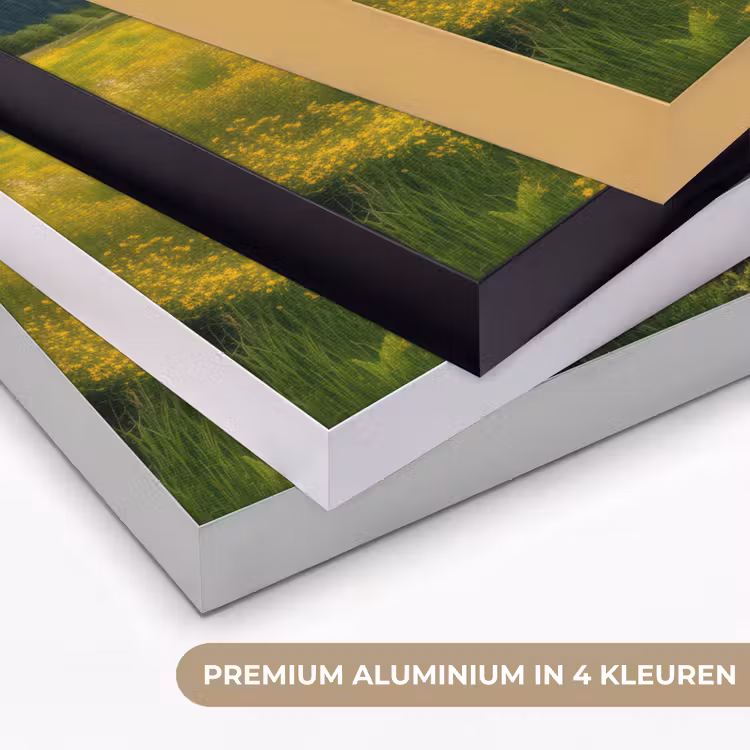 Art Frame - Veld - Hek - Bergen - Bloemen — 5