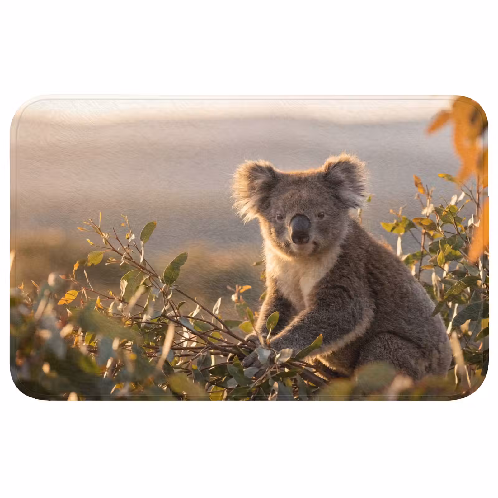 Badmat - Koala - Bladeren - Ochtendlicht — 1