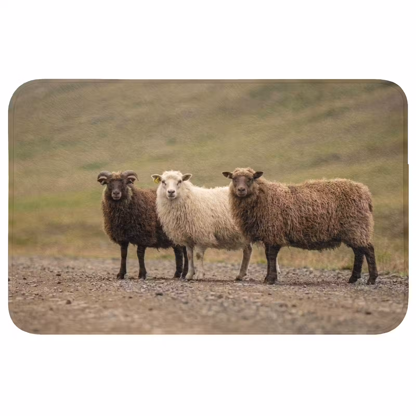 Badmat - Schapen - Bruin - Wit - Grindpad — 1