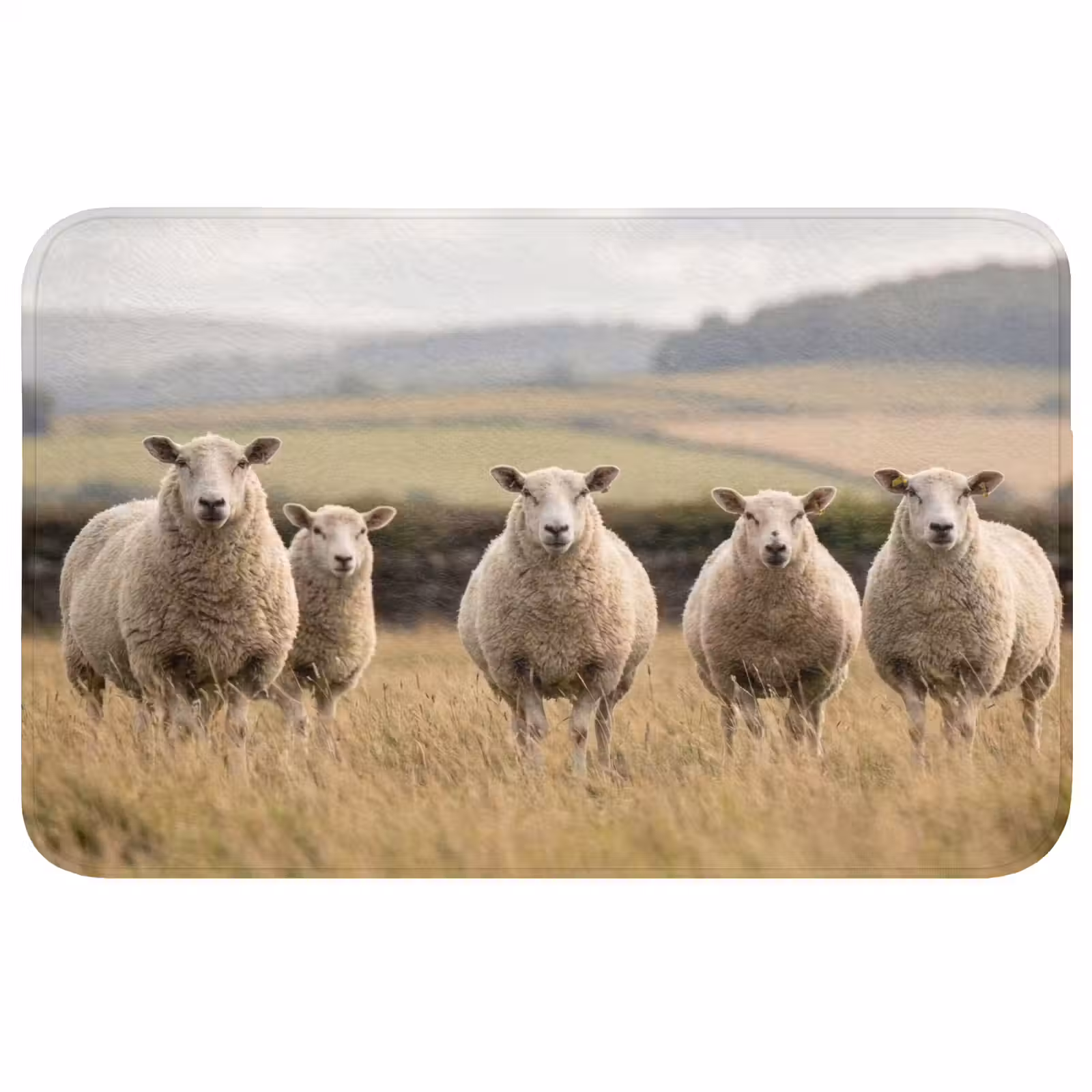 Badmat - Schapen - Weidenlandschap - Heuvels — 1