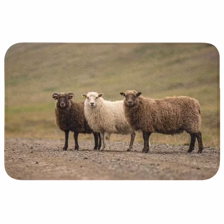 Badmat - Schapen - Bruin - Wit - Grindpad — 1