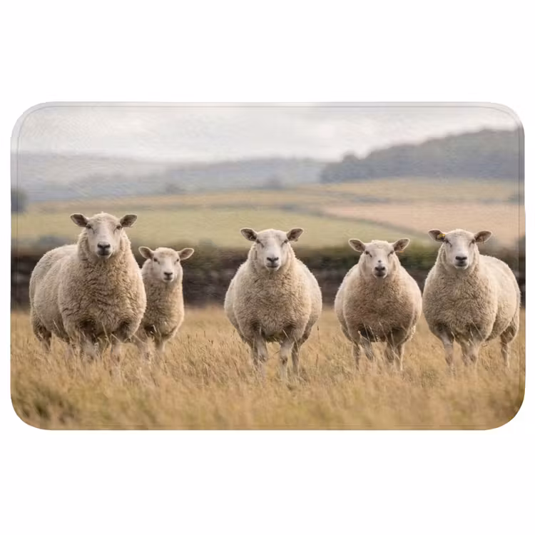 Badmat - Schapen - Weidenlandschap - Heuvels — 1