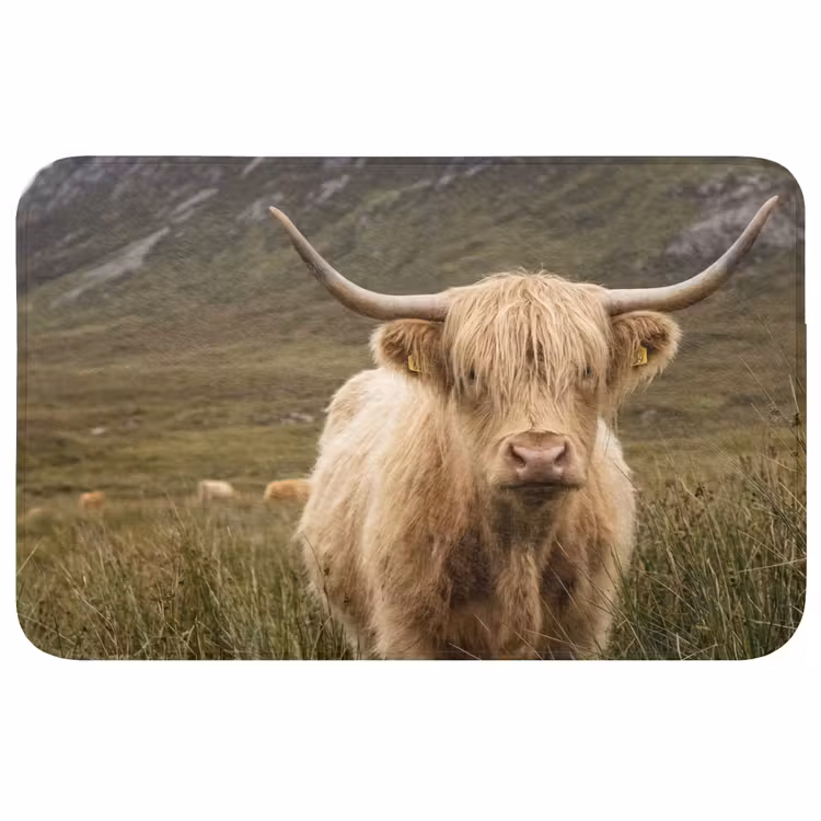 Badmat - Schotse hooglander - Bergen - Grasveld — 1