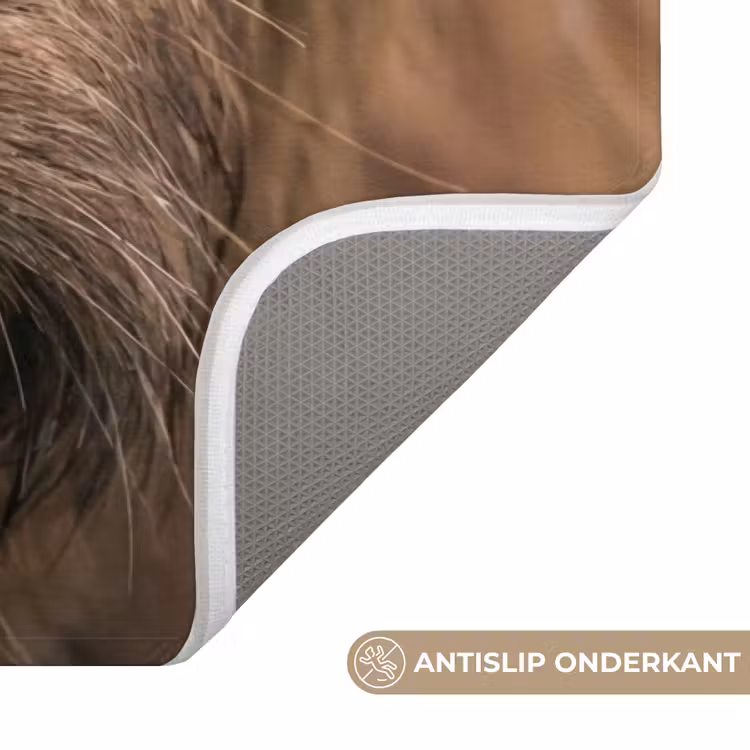 Badmat - Schotse hooglander - Neus - Bruin — 3