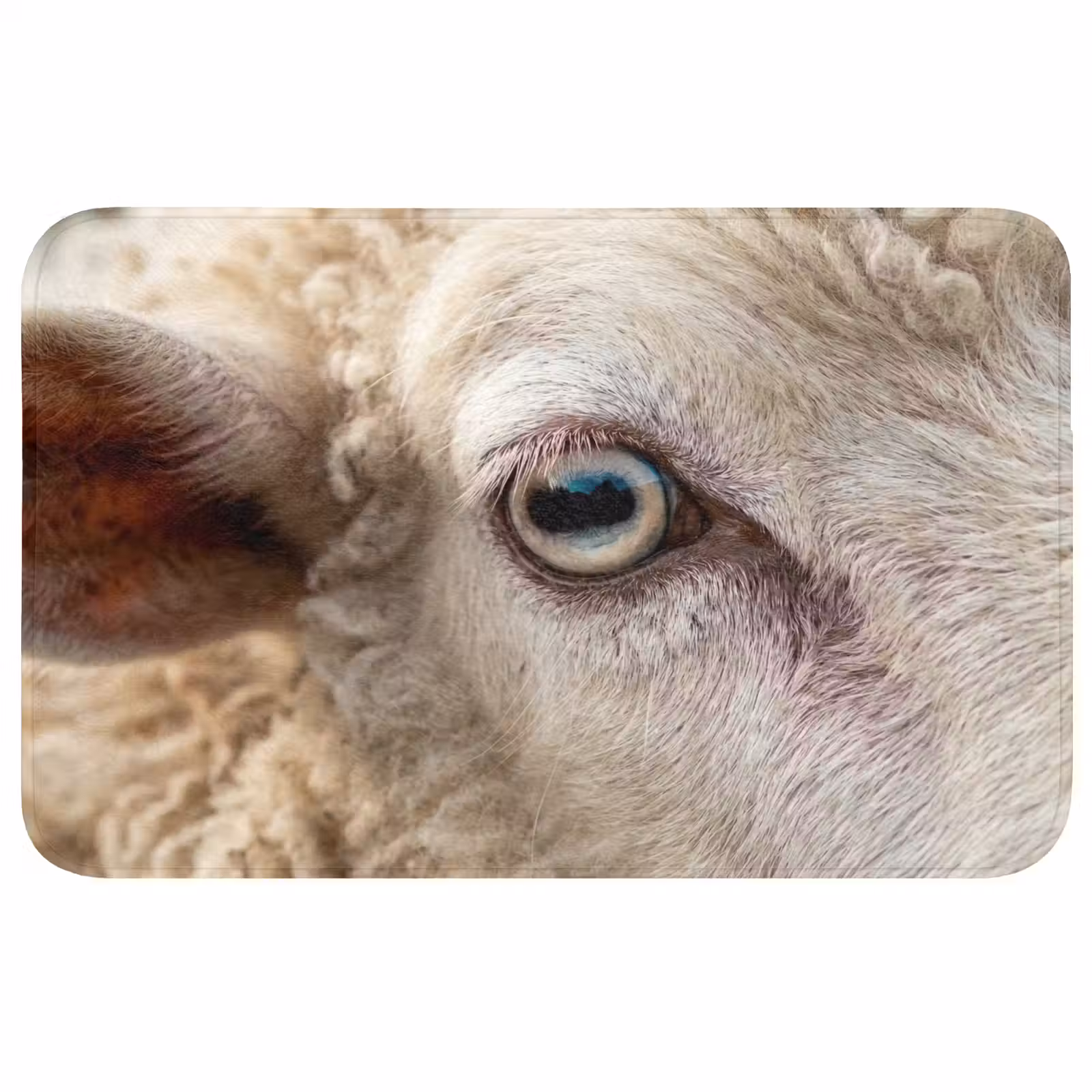 Badmat - Schaap - Oog - Wit — 1