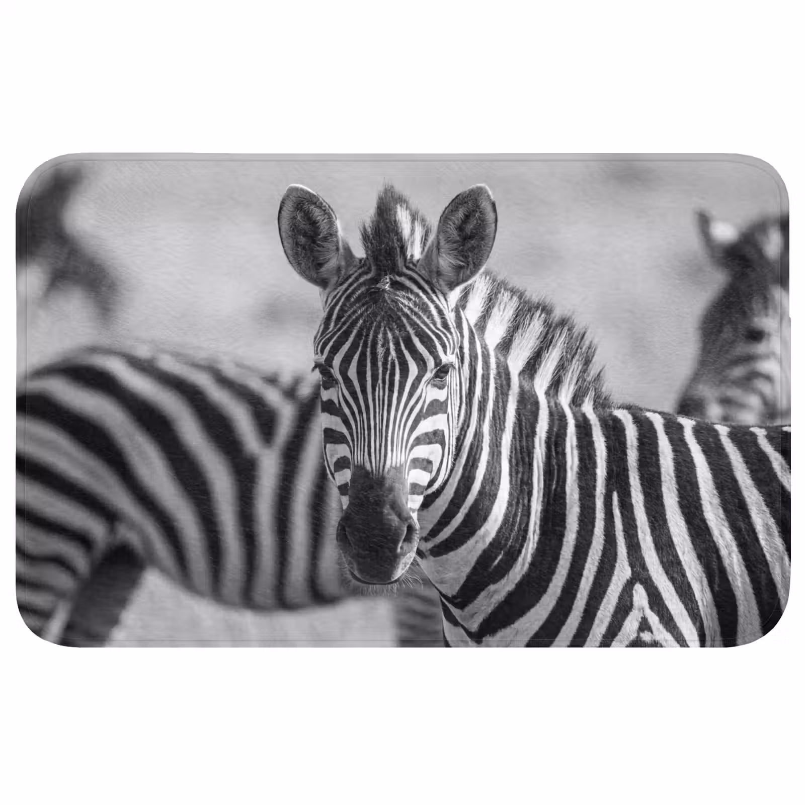 Badmat - Zebra's - Zwart - Wit — 1