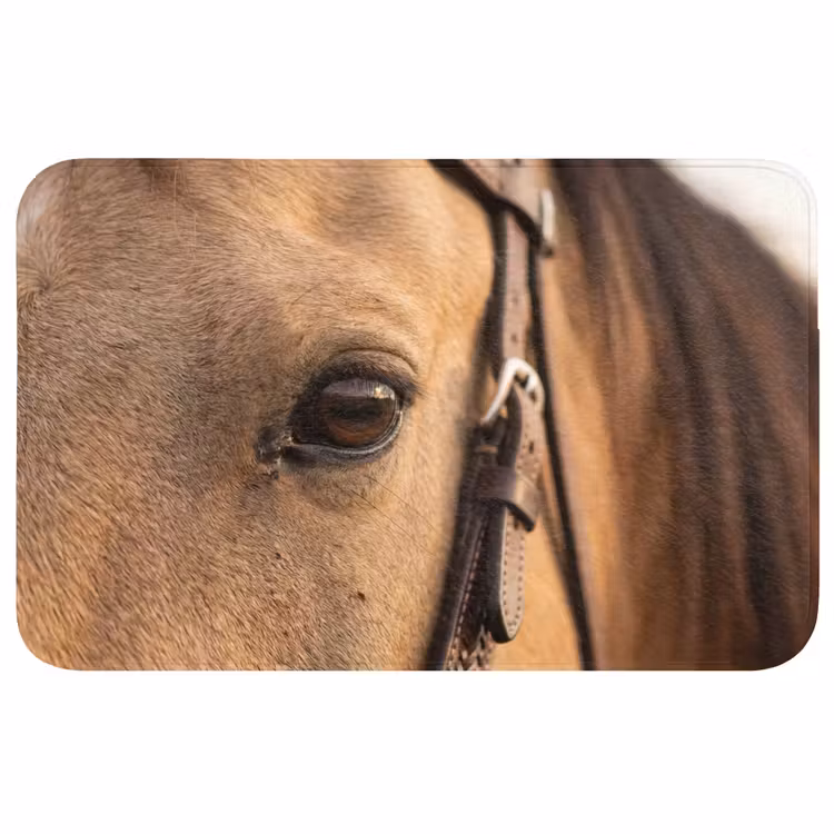 Badmat - Paard - Oog - Bruin — 1
