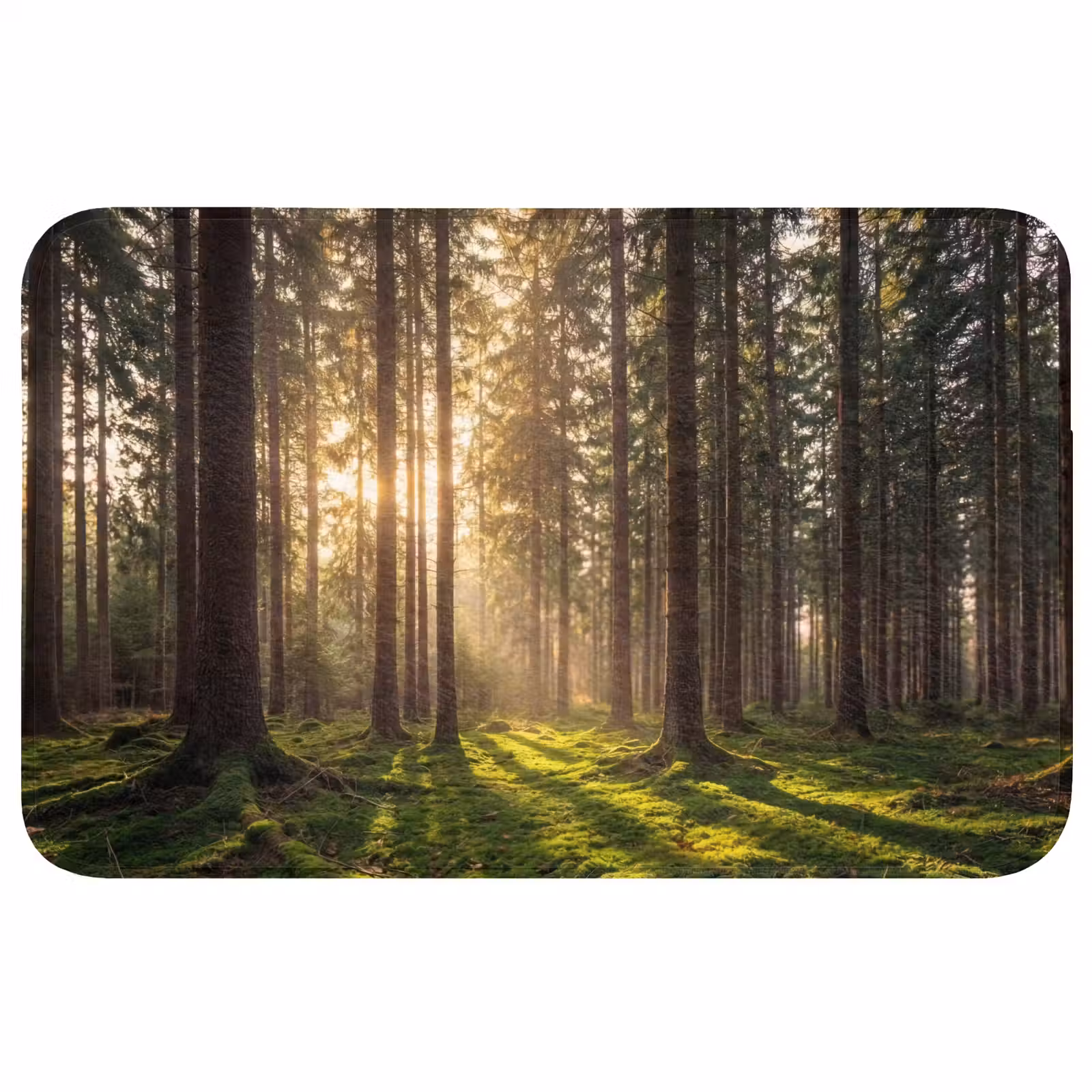 Badmat - Bos - Gras - Zonlicht — 1