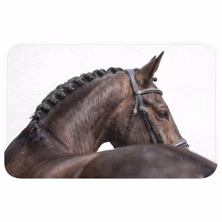 Badmat - Portret - Paard - Elegant — 1